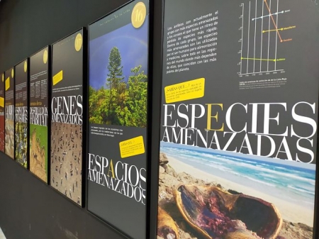Imagen de la exposición (AYTO. MONACHIL)