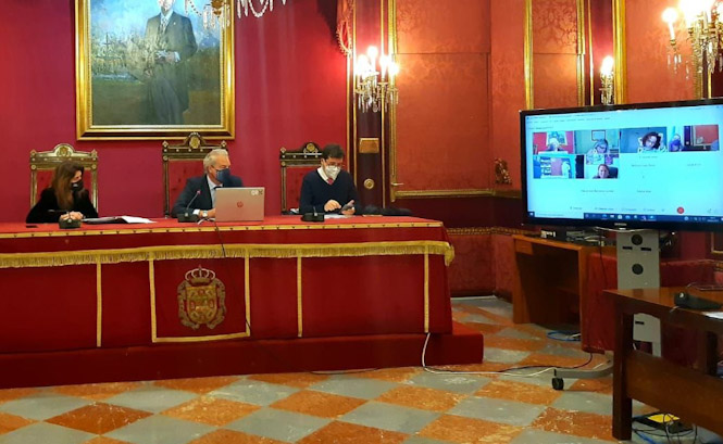 Mesa técnica de protección de menores víctimas de violencia de género (AYTO. GRANADA) 
