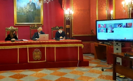 Mesa técnica de protección de menores víctimas de violencia de género (AYTO. GRANADA) Mesa técnica de protección de menores víctimas de violencia de género (AYTO. GRANADA)