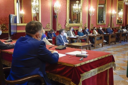 Pleno extraordinario para la presentación del informe del Defensor de la Ciudadanía en 2020 (JAVIER ALGARRA / AYUNTAMIENTO) Pleno extraordinario para la presentación del informe del Defensor de la Ciudadanía en 2020 (JAVIER ALGARRA / AYUNTAMIENTO)