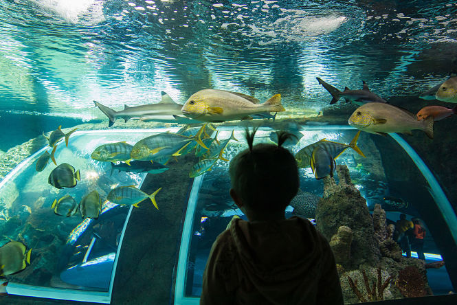 Imagen del Biodomo (PARQUE DE LAS CIENCIAS)
