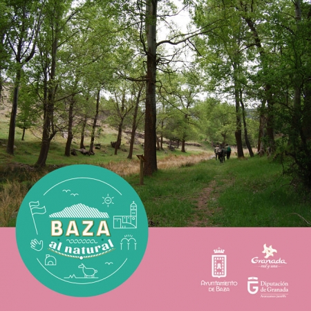Álamos centenarios de Baza (AYTO. BAZA) Álamos centenarios de Baza (AYTO. BAZA)