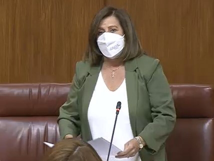 La parlamentaria Andaluza del PSOE, María José Sánchez Rubio (PSOE) La parlamentaria Andaluza del PSOE, María José Sánchez Rubio (PSOE)