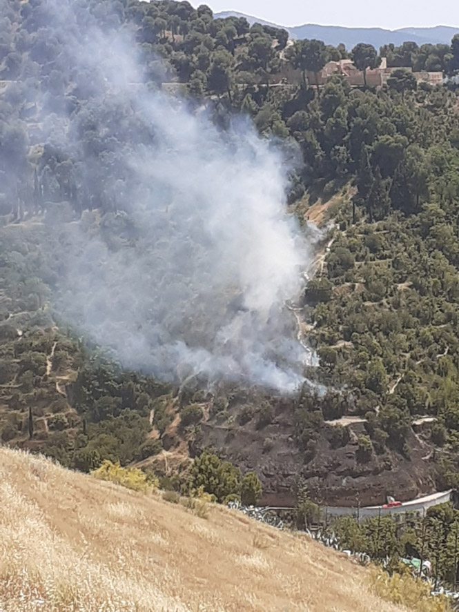 Lugar donde se ha producido el incendio (INFOCA)