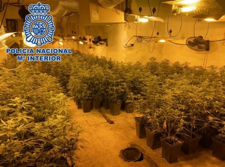Imagen de una de las plantaciones desarticuladas (POLICIA NACIONAL) Imagen de una de las plantaciones desarticuladas (POLICIA NACIONAL)