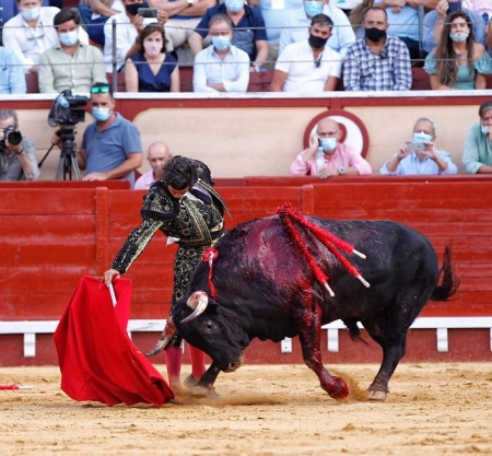 Morante de la Puebla, en una foto de archivo en una corrida (JOAQUÍN ARJONA / EUROPA PRESS) Morante de la Puebla, en una foto de archivo en una corrida (JOAQUÍN ARJONA / EUROPA PRESS)