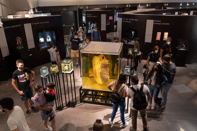 Pabellón del cuerpo humano (PARQUE DE LAS CIENCIAS)