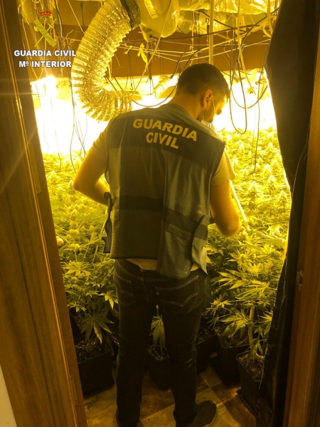 Un agente de la Guardia CIvil en la  plantación de Lanjarón (GUARDIA CIVIL)