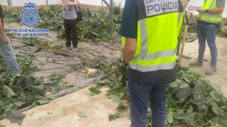 Imagen de la Operación Brácula (POLICÍA NACIONAL) 