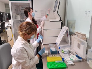 Realización de u a biopsia líquida (JUNTA) Realización de u a biopsia líquida (JUNTA)
