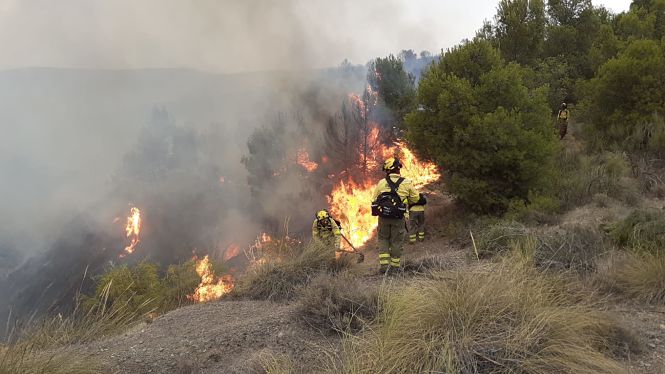 Un miembro del Infoca trabaja en la zona del incendio (INFOCA) 