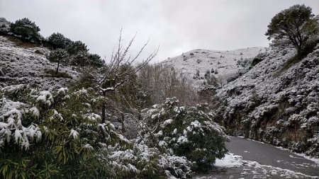 Nevada en Peña Escrita (AYUNTAMIENTO DE ALMUÑÉCAR) Nevada en Peña Escrita (AYUNTAMIENTO DE ALMUÑÉCAR)
