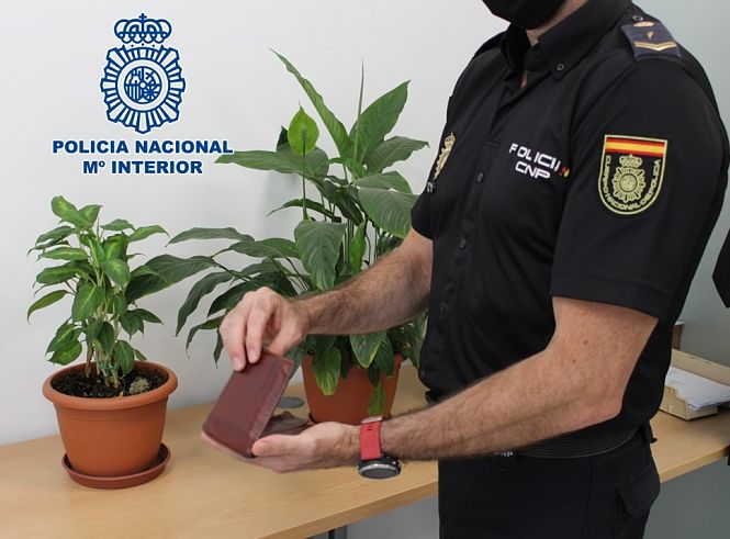 Agente de la Policía Nacional (POLICÍA NACIONAL)