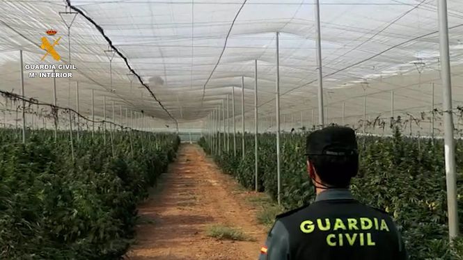 Operación de la Guardia Civil (GUARDIA CIVIL)
