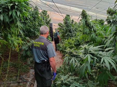 Agentes de la Guardia Civil en la plantación de marihuana (GUARDIA CIVIL) Agentes de la Guardia Civil en la plantación de marihuana (GUARDIA CIVIL)