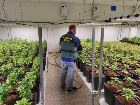 Una agente de la Guardia Civil con las plantas incautadas (GUARDIA CIVIL)