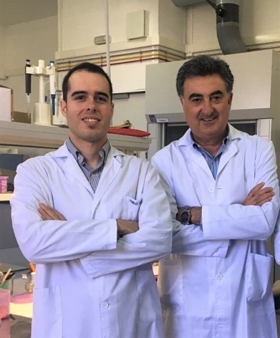 Imagen de los investigadores del Ibs.Granada (JUNTA) 