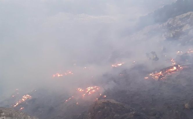 Incendio forestal declarado en el paraje Cruz de Víznar - (INFOCA) 