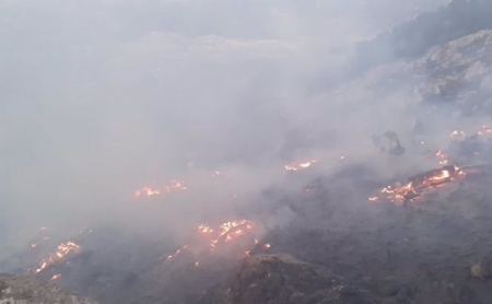 Incendio forestal declarado en el paraje Cruz de Víznar - (INFOCA) 