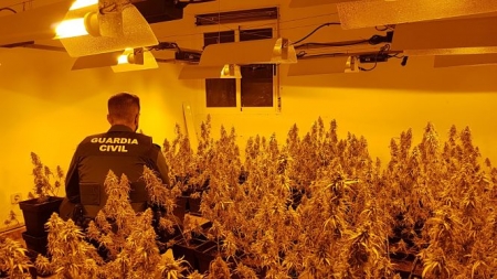 Un agente de la Guardia CIvil con la marihuana incautada (GUARDIA CIVIL)