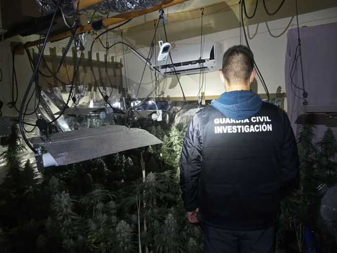 Un agente de la Guardia Civil en una de las plantaciones (GUARDIA CIVIL) 