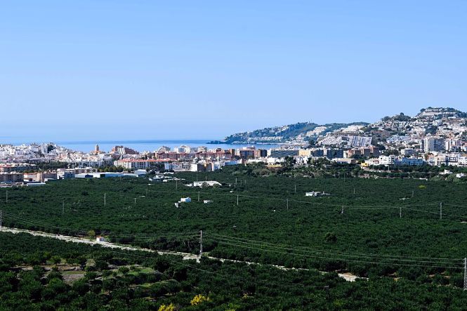 Vega de Almuñécar (AYUNTAMIENTO) 