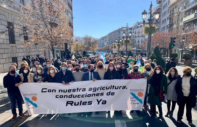 Imagen de la manifestación (PSOE)