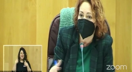 La Diputada Provincial de IU, Mari Carmen Pérez (IU)