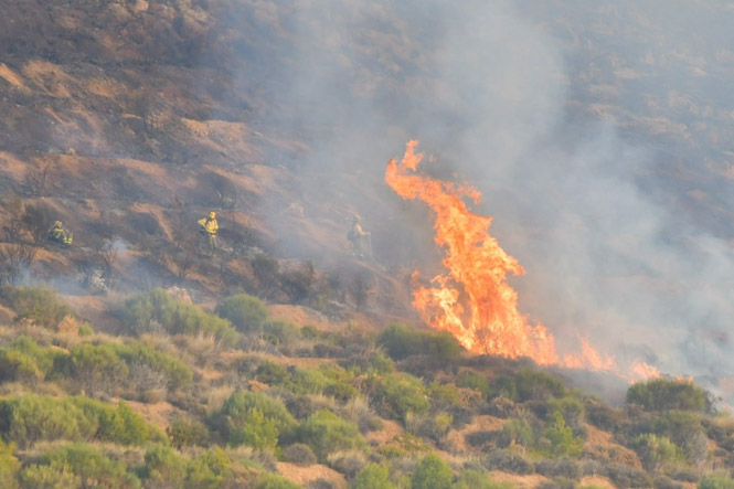 Infoca trabaja durante la noche con más de 60 efectivos para apagar un fuego en un paraje de Lecrín (INFOCA)