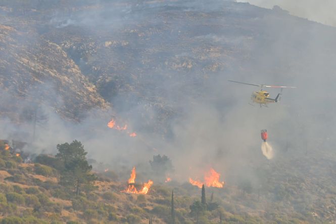 Lugar donde se ha producido el incendio (INFOCA) 