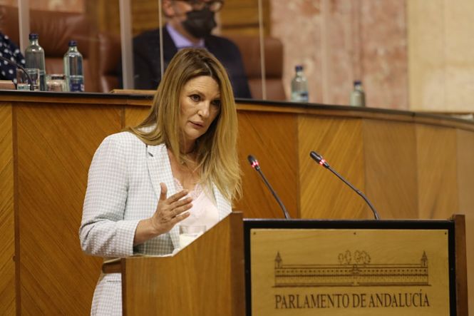 La parlamentaria andaluza de CS, Concha Insúa (CIUDADANOS)