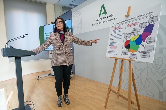 La delegada territorial de Agricultura, María José Martín (JUNTA) 