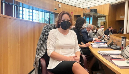 La Diputada Provincial de IU, Mari Carmen Pérez (IU)