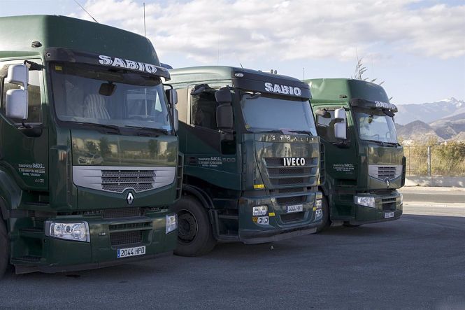 Vehículos de la empresa Transportes Sabio (PUERTO DE MOTRIL)