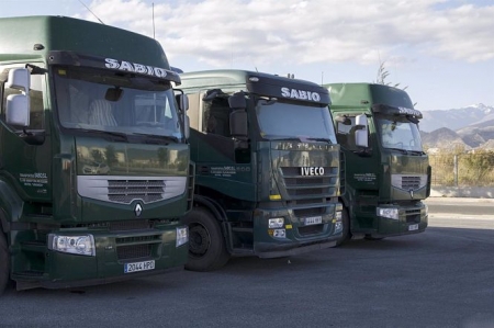 Vehículos de la empresa Transportes Sabio (PUERTO DE MOTRIL)