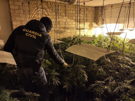 Un agen de la Guardia CIvil  en la plantación desarticulada (GUARDIA CIVIL)