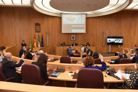 Pleno de la Diputación de Granada (DIPGRA)