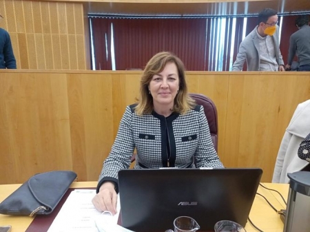 La Portavoz provincial de VOX, Cristina Jiménez (VOX) 