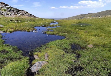 Borreguiles, en el entorno de Sierra Nevada (JUAN ENRIQUE GÓMEZ-FUNDACIÓN AguaGranada) Borreguiles, en el entorno de Sierra Nevada (JUAN ENRIQUE GÓMEZ-FUNDACIÓN AguaGranada)