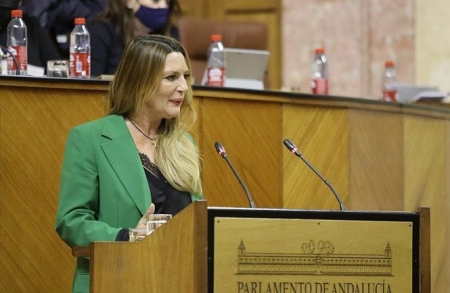 La parlamentaria andaluza de Ciudadanos, Concha Insúa (CIUDADANOS) La parlamentaria andaluza de Ciudadanos, Concha Insúa (CIUDADANOS)