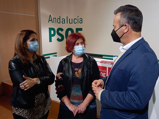 Diputado Nacionales del PSOE (PSOE)