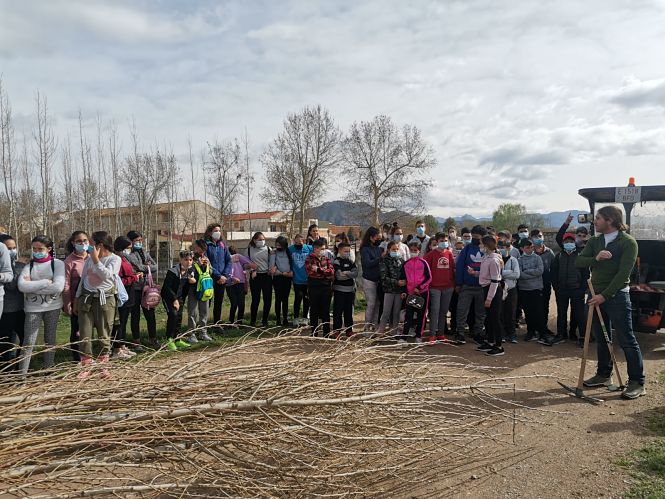 Jornada de reforestación celebrada en la ribera del Río Genil (AYTO. FUENTE VAQUEROS) 