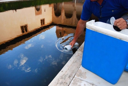 Toma de una muestra de agua en la Alhambra (PATRONATO ALHAMBRA Y GENERALIFE)