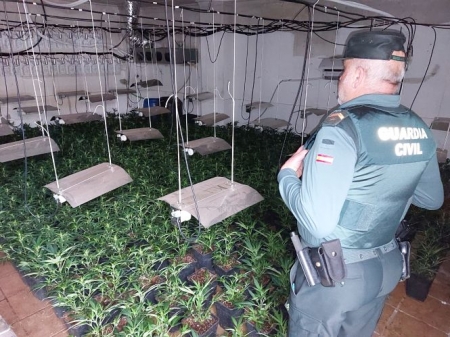 Un agente de la Guardia CIvil en una de las plantaciones (GUARDIA CIVIL) Un agente de la Guardia CIvil en una de las plantaciones (GUARDIA CIVIL)