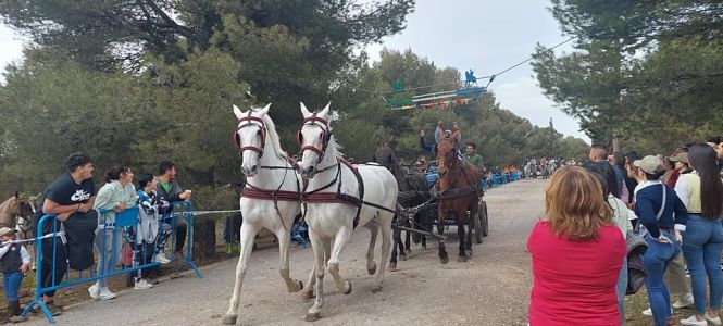  romería de San José, celebrada este fin de semana en Monachil (AYTO. MONACHIL)