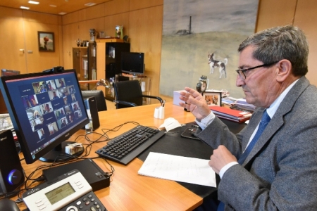 Imagen de la reunión telemática (R. MARTÍNEZ /DIPGRA)
