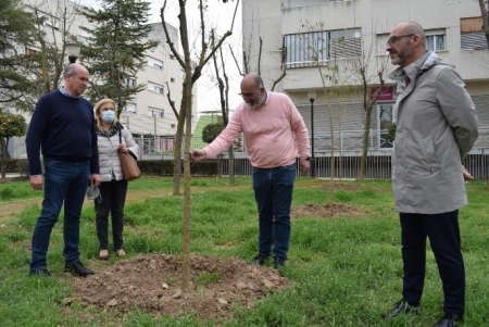 IImagen de la plantación de árboles (AYTO. ALBOLOTE)