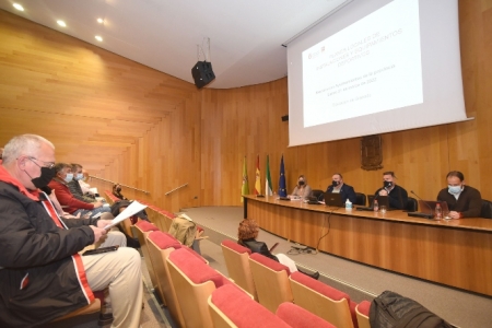 Imagen de la reunión (R. MARTÍNEZ / DIPGRA)
