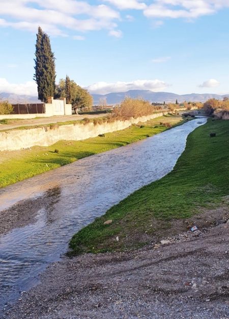 (AYUNTAMIENTO CÚLLAR VEGA) (AYUNTAMIENTO CÚLLAR VEGA)