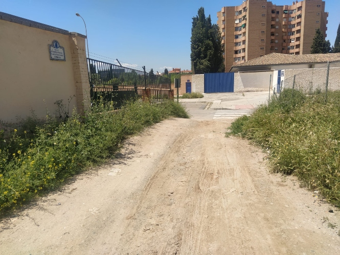 Calle sin asfaltar ni desbrozar en Zona Norte Granada capital (VOX)